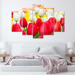 Obraz pięcioczęściowy na płótnie, Białe i czerwone tulipany - 150x100