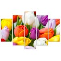 Obraz pięcioczęściowy na płótnie, Kolorowe tulipany - 150x100