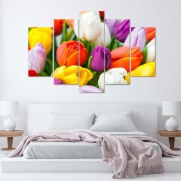 Obraz pięcioczęściowy na płótnie, Kolorowe tulipany - 200x100
