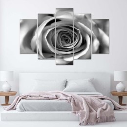 Obraz pięcioczęściowy na płótnie, Kwiat róży - 150x100