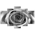Obraz pięcioczęściowy na płótnie, Kwiat róży - 200x100