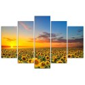 Obraz 5 częściowy na płótnie, Słoneczniki na łące - 100x70