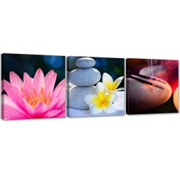 Zestaw obrazów na płótnie, Kwiat Zen Kamień - 120x40