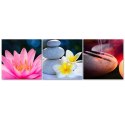 Zestaw obrazów na płótnie, Kwiat Zen Kamień - 120x40