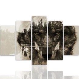 Obraz 5 częściowy na płótnie, Wilk na tle lasu - brązowy - 150x100