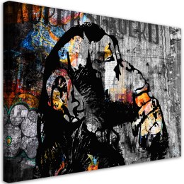 Obraz na płótnie, Street art banksy małpa abstrakcja - 120x80