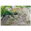 Obraz na płótnie, Kameleon na gałęzi dżungla - 120x80