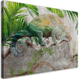 Obraz na płótnie, Kameleon na gałęzi dżungla - 60x40