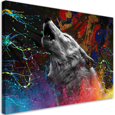 Obraz na płótnie, Wilk zwierze natura - 60x40