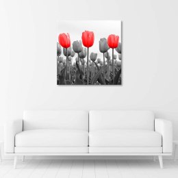 Obraz na płótnie, Czerwone tulipany na łące - 30x30