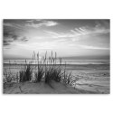 Obraz na płótnie, Trawy na plaży - czarno-biały - 60x40