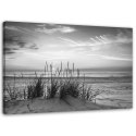 Obraz na płótnie, Trawy na plaży - czarno-biały - 90x60