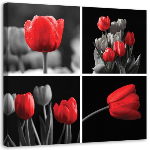 Obraz na płótnie, Zestaw czerwonych tulipanów - 30x30