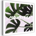 Obraz na płótnie, Egzotyczne liście Monstera - 30x30