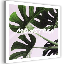 Obraz na płótnie, Egzotyczne liście Monstera - 50x50
