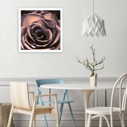 Obraz na płótnie, Krople wody na róży - 30x30