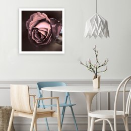 Obraz na płótnie, Piękna róża kwiat - 40x40