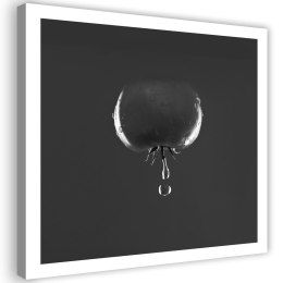 Obraz na płótnie, Pomidor i krople wody - czarno-białe - 50x50