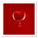Obraz na płótnie, Pomidor i krople wody czerwony - 40x40