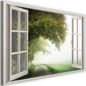 Obraz na płótnie, Widok z okna, drzewo, mgła, natura - 100x70