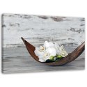 Obraz na płótnie, Białe kwiaty storczyka vintage - 100x70