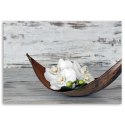 Obraz na płótnie, Białe kwiaty storczyka vintage - 100x70