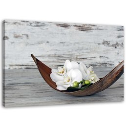 Obraz na płótnie, Białe kwiaty storczyka vintage - 120x80