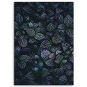 Obraz na płótnie, Liście rośliny natura - 40x60
