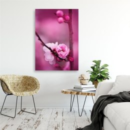 Obraz na płótnie, Różowy kwiat i pąki na gałązce - 70x100