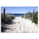 Obraz na płótnie, Ścieżka przez wydmy na plażę - 100x70