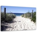 Obraz na płótnie, Ścieżka przez wydmy na plażę - 90x60