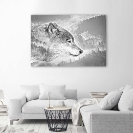 Obraz na płótnie, Wilk na śnieżnym tle - 60x40
