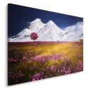 Obraz na płótnie, Alpy góry Włochy - 100x70