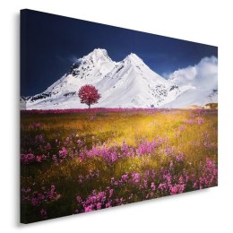 Obraz na płótnie, Alpy góry Włochy - 120x80