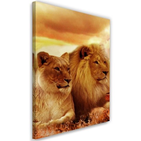 Obraz na płótnie, Król lew i lwica - 40x60