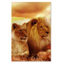 Obraz na płótnie, Król lew i lwica - 40x60