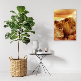 Obraz na płótnie, Król lew i lwica - 70x100