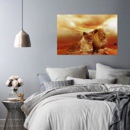 Obraz na płótnie, Para lwów zwierzęta - 100x70