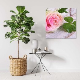 Obraz na płótnie, Róża kwiaty natura - 30x30