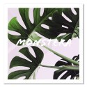 Obraz na płótnie, Egzotyczne liście - monstera - 30x30