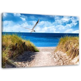 Obraz na płótnie, Ścieżka na plażę i mewa - 100x70