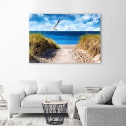 Obraz na płótnie, Ścieżka na plażę i mewa - 120x80
