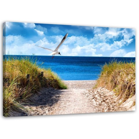 Obraz na płótnie, Ścieżka na plażę i mewa - 60x40