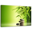 Obraz na płótnie, Kamienie zen i bambus na zielonym tle - 60x40