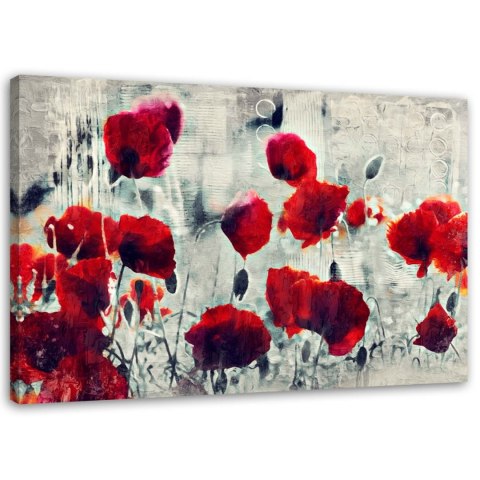 Obraz na płótnie, Malowane czerwone maki na czarno-białej łące - 100x70