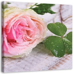 Obraz na płótnie, Róża i koniczyna - 40x40