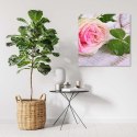 Obraz na płótnie, Róża i koniczyna - 50x50
