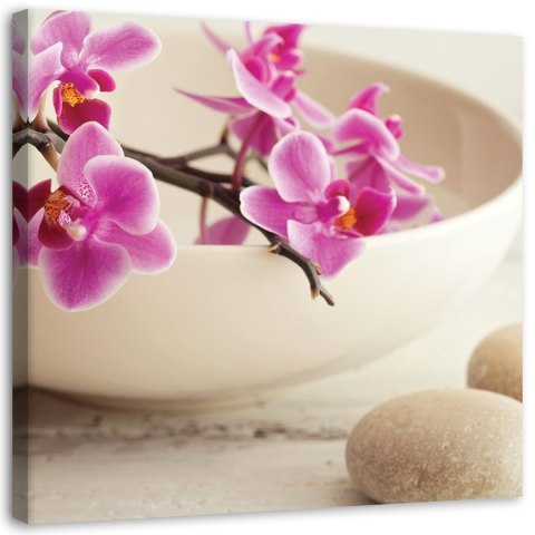 Obraz na płótnie, Różowe orchidee w naczyniu - 30x30