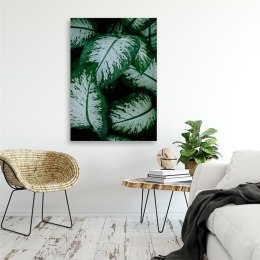 Obraz na płótnie, Tropikalne liście biało zielone - 60x90