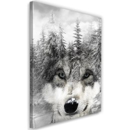 Obraz na płótnie, Wilk w zimowej scenerii - 60x90